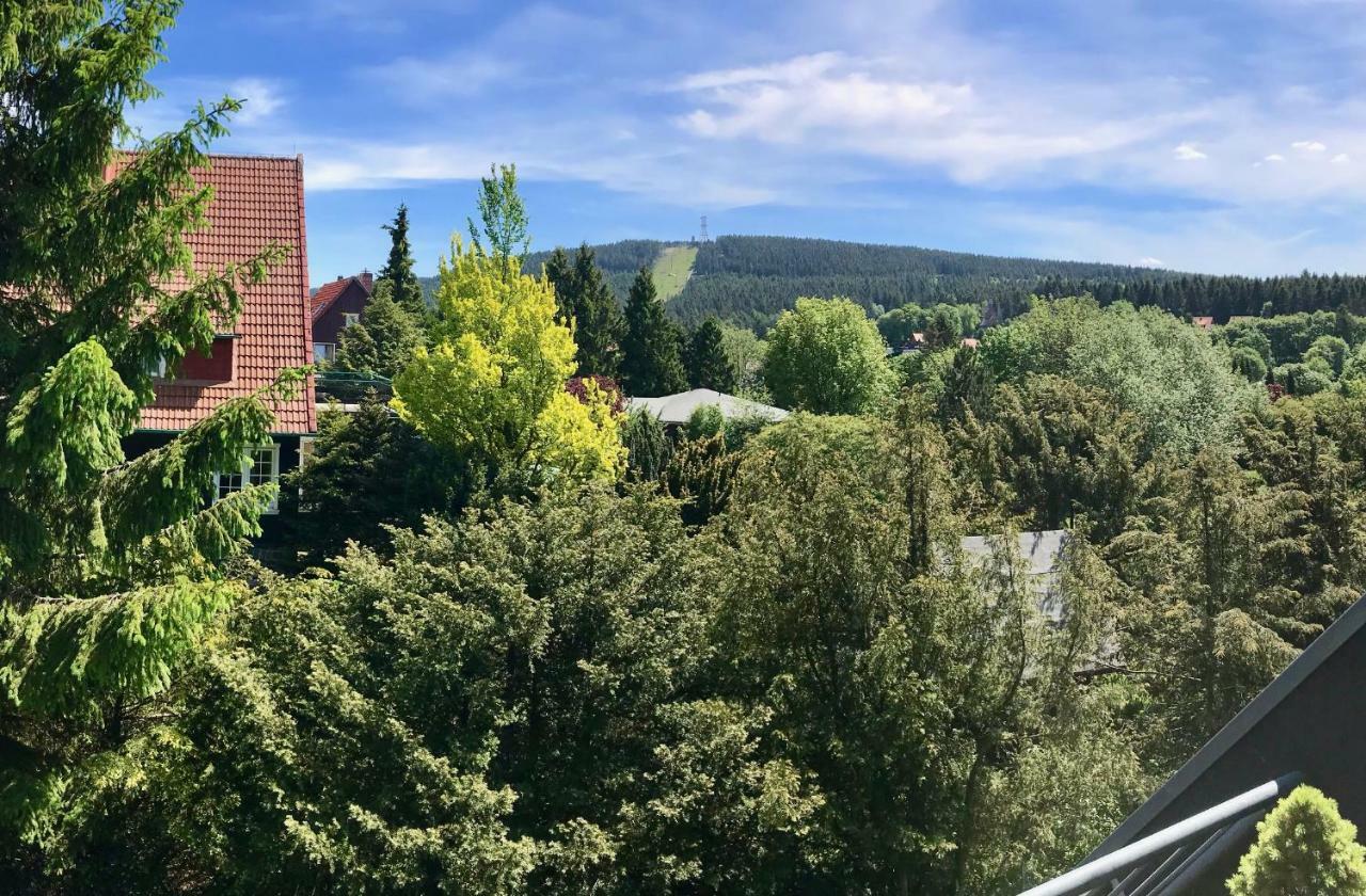 Schoene Bergsicht Goslar Buitenkant foto